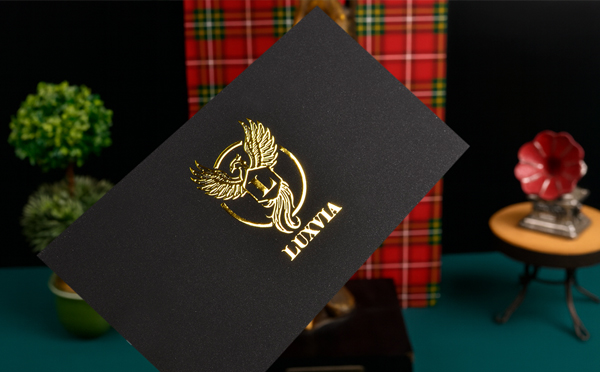 ����-8245&nbsp; |  