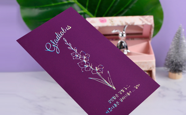 ����-8246&nbsp; |  