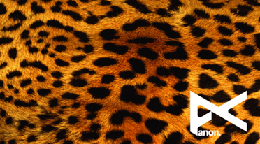 Ŭ���Ͻø� �� �������� �� ��������ũ�� ���Դϴ�.