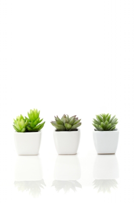 Ŭ���Ͻø� �� �������� �� ��������ũ�� ���Դϴ�.