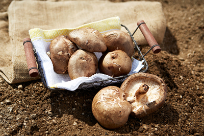 Ŭ���Ͻø� �� �������� �� ��������ũ�� ���Դϴ�.