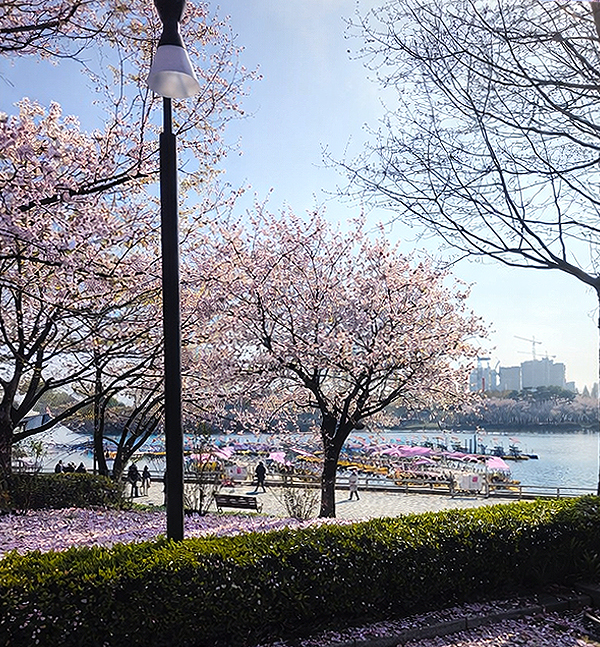 �ϻ�ȣ������ �������� �ϴ� �ž�? ����� �ʹ� ���� ����