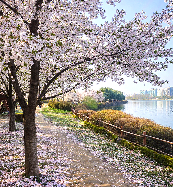 �ϻ�ȣ������ �������� �ϴ� �ž�? ����� �ʹ� ���� ����